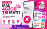 Kode SMS Mau 4g2gb Tri Mati? Ini 5 Paket Pengganti yang Murah
